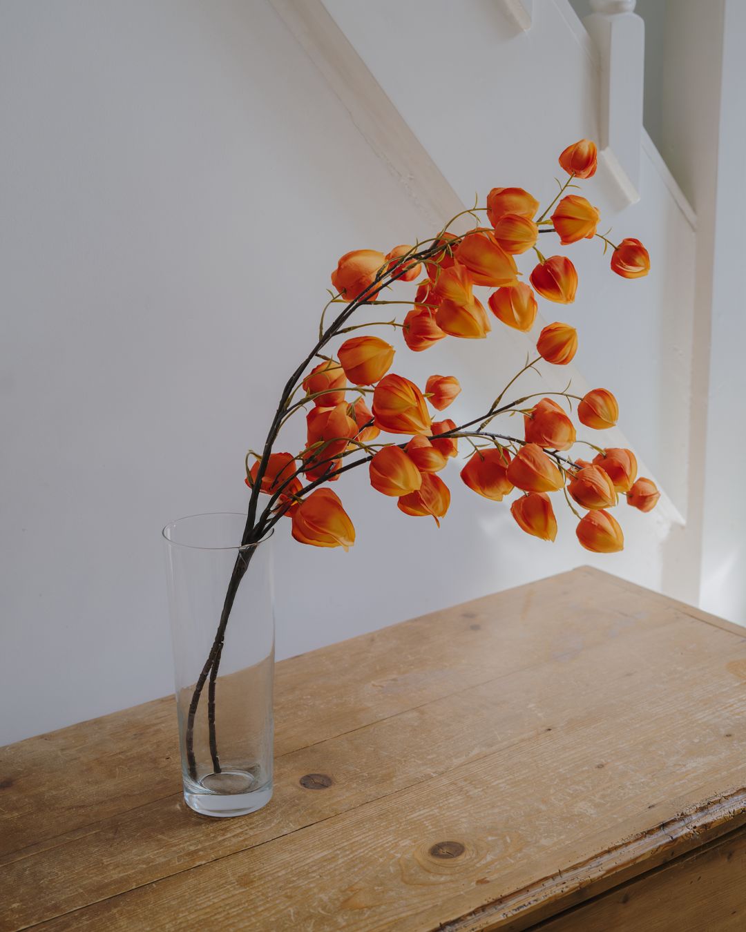 Zeeman x Persuade — photo 2