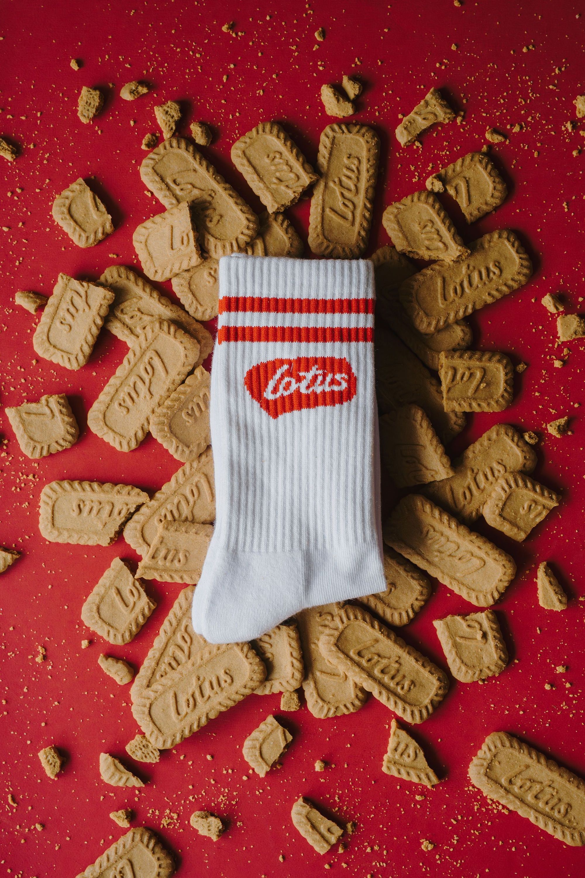 Sokkies - campaign — photo 10